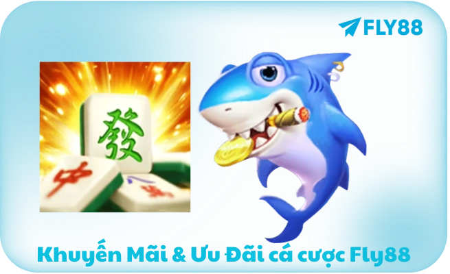 Khuyến Mãi & Ưu Đãi cá cược Fly88