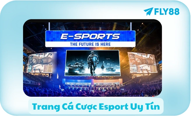Trang Ca Cuoc Esport Uy Tin Trang Cá Cược Esport Uy Tín